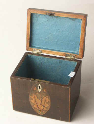 A single compartment harewood tea caddy edged with boxwood and inlaid with oval marquetry medallions depicting a conch shell to the top and holly leaves  to the front. Circa 1790.