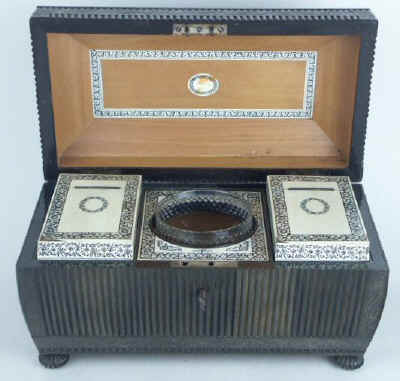 An important and monumental Anglo Indian Vizagapatam black buffalo horn tea chest Circa 1835.