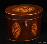 878TC: Antique Oval mahogany tea-caddy with inlays depicting shells circa 1790