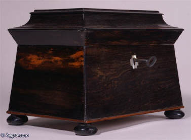 Shaped Coromandel twin compartment tea caddy  standing on turned ebony feet circa 1840 Enlarge Picture