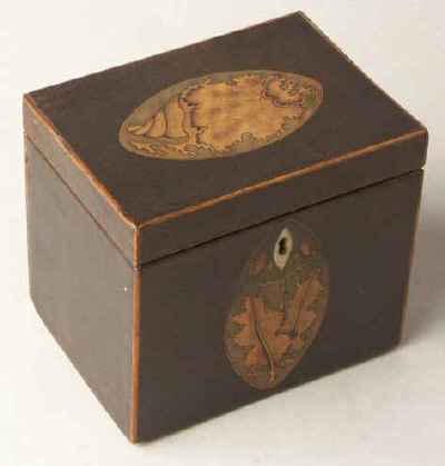 A single compartment harewood tea caddy edged with boxwood and inlaid with oval marquetry medallions depicting a conch shell to the top and holly leaves  to the front. Circa 1790.