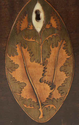 A single compartment harewood tea caddy edged with boxwood and inlaid with oval marquetry medallions depicting a conch shell to the top and holly leaves  to the front. Circa 1790.