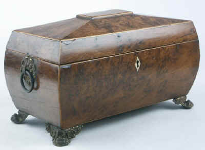 A burr yew  three compartment tea caddy/chest of bombe shape, pyramided top with gilded brass drop handleshandles and feet.