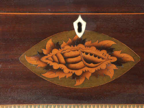 Mahogany Tea Caddy with Conch Shell inlays Circa 1790 tcmashells04.jpg (99721 bytes)